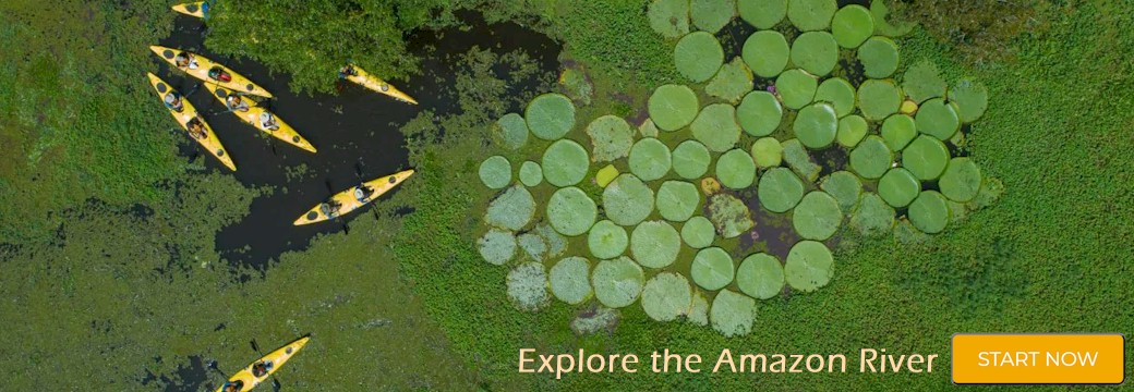 Explore the Amazon River